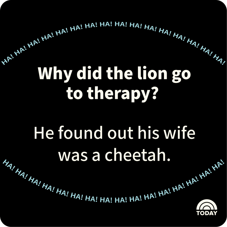 Dark Humor Jokes