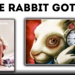 The Rabbit Got me Meaning