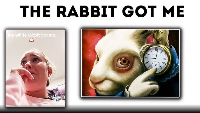 The Rabbit Got me Meaning