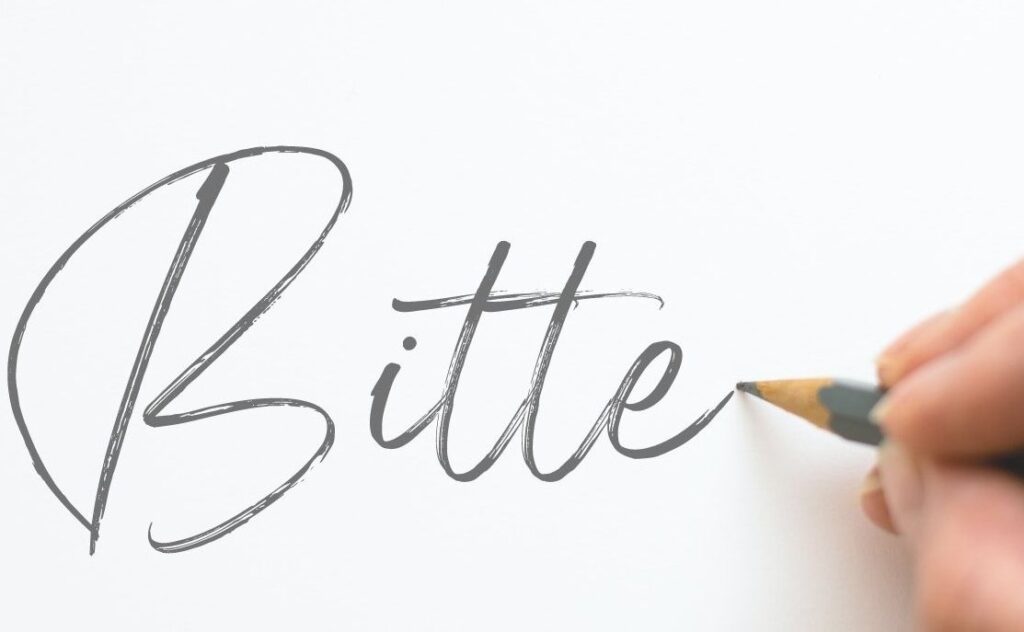 Bitte Meaning