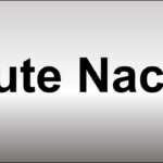 Gute Nacht Meaning
