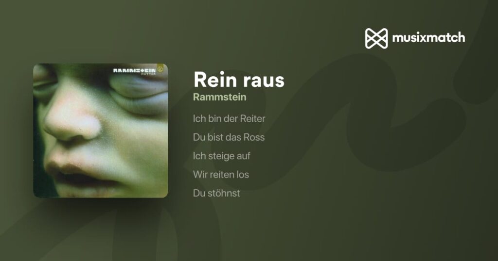 Rein Raus Meaning