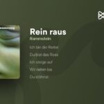 Rein Raus Meaning