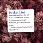 Pocket Lint Meaning