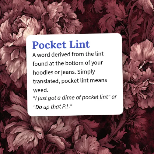 Pocket Lint Meaning