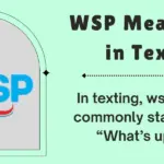 WSP Meaning