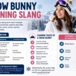 Snow Bunny Meaning Slang
